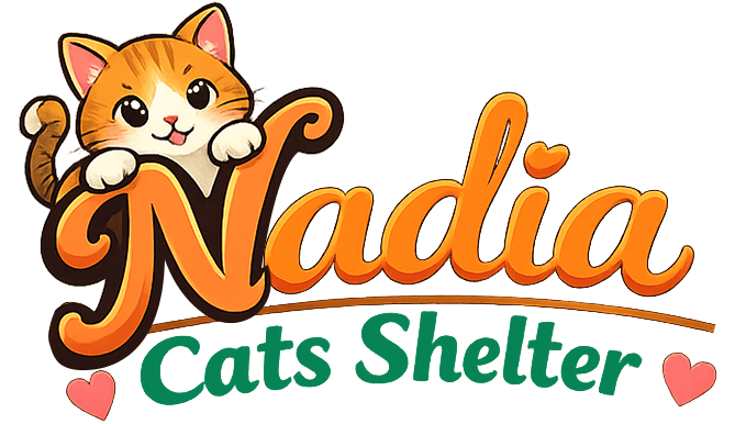 Nadia Cats Shelter